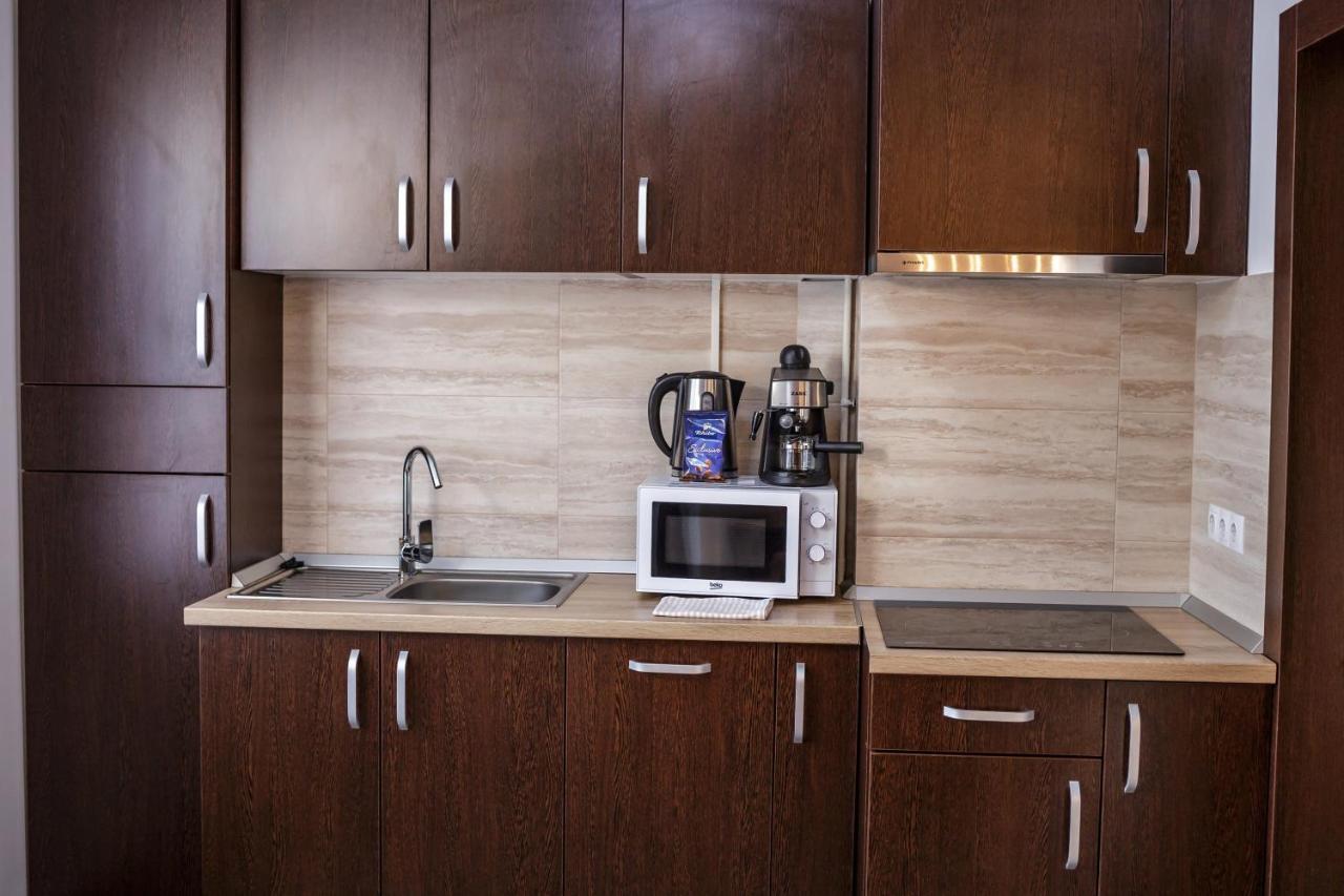 Apartament Family Rivulus 10 Baia Mare Buitenkant foto